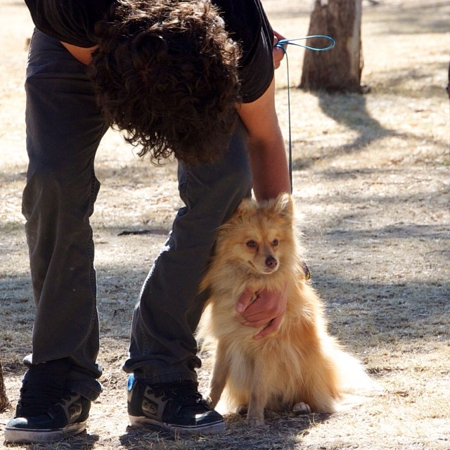 W Toby