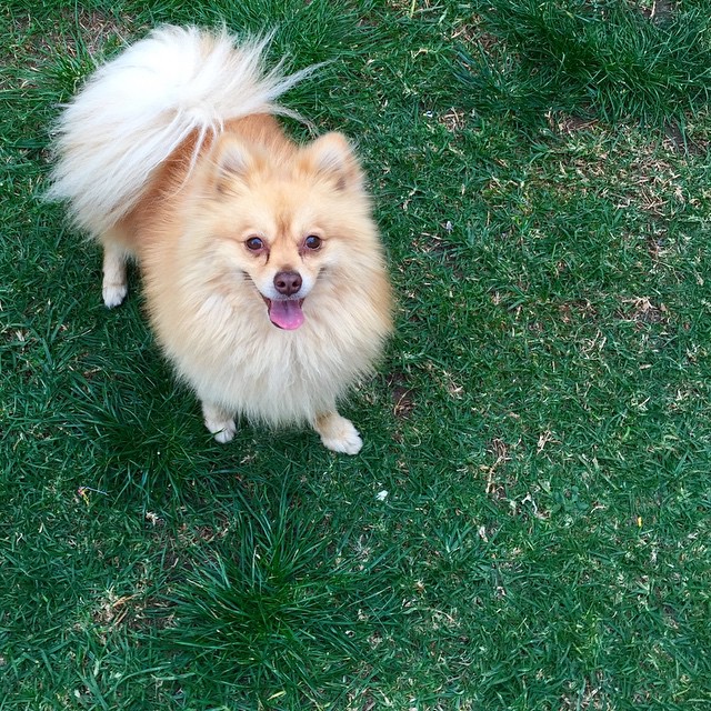 😛