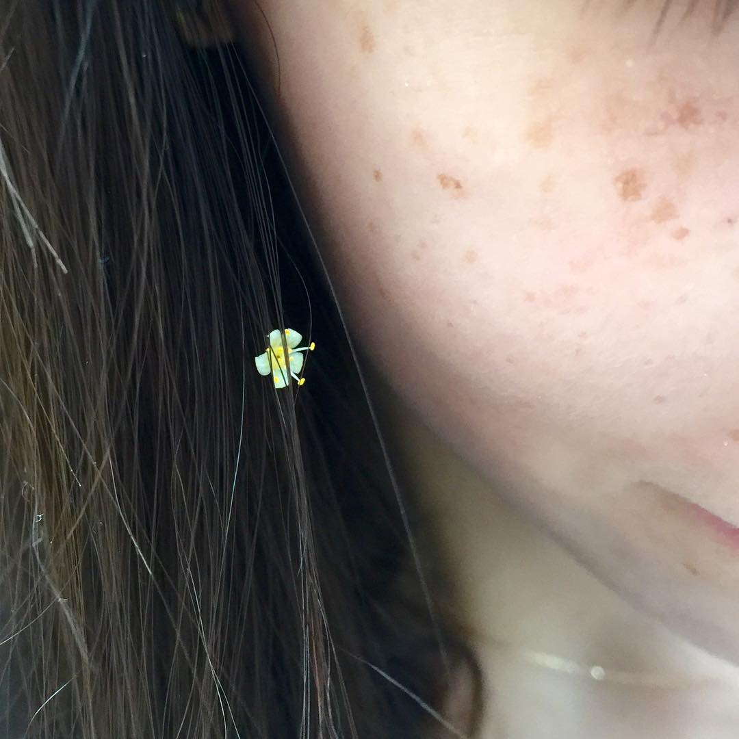 🌸