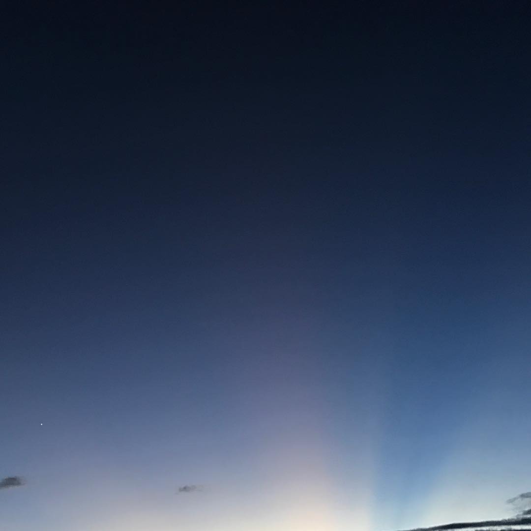 🌃